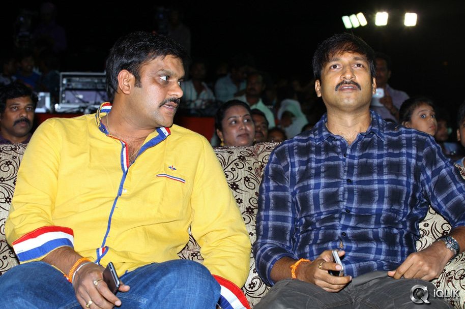 Loukyam-Movie-Audio-Success-Function